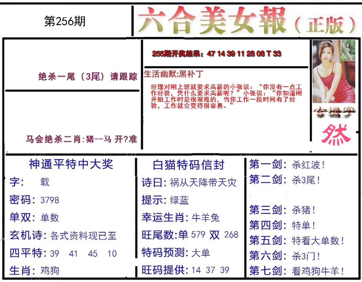256更新中
