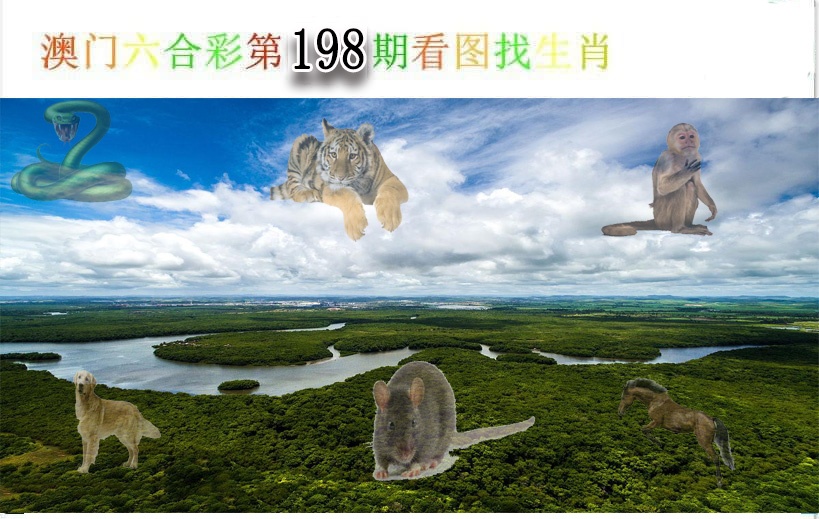 198更新中