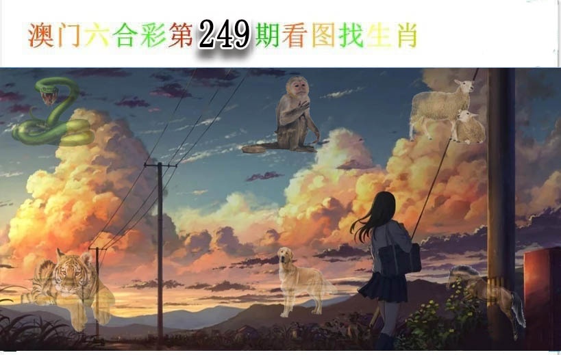249更新中
