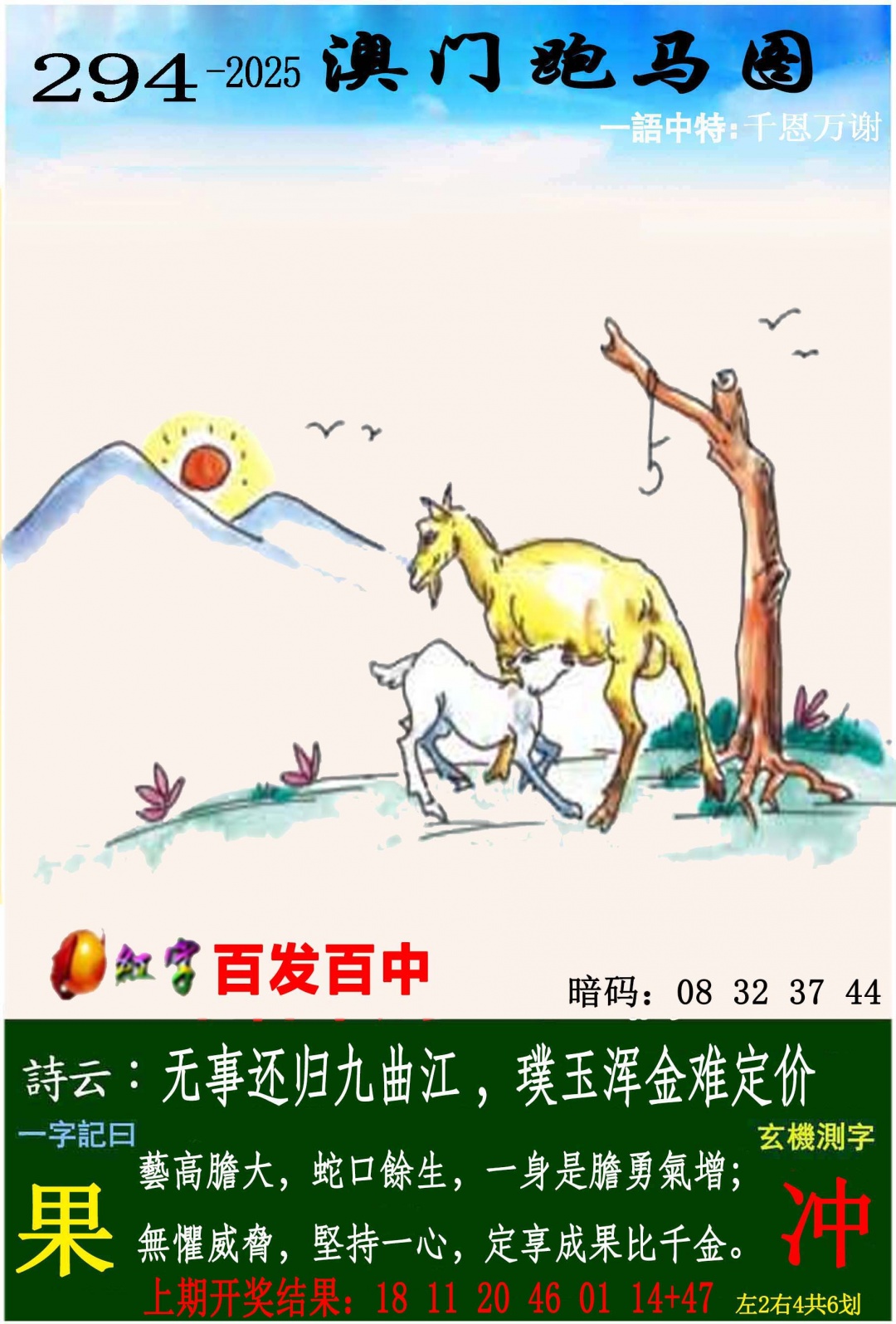 294更新中
