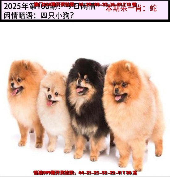 100更新中