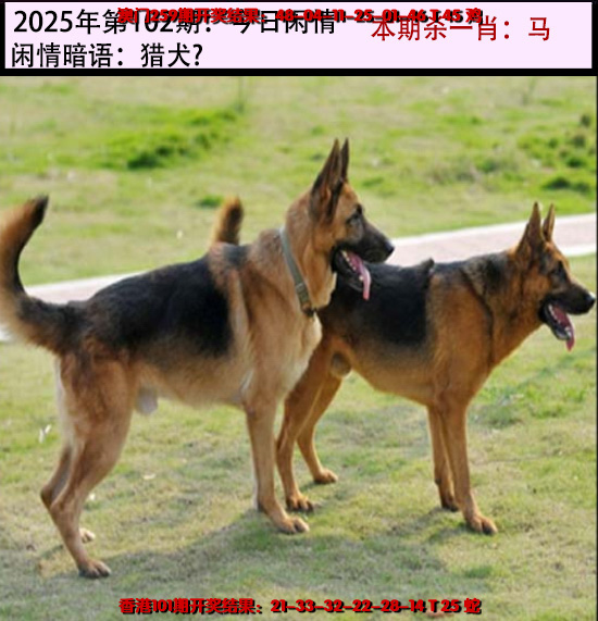 102更新中