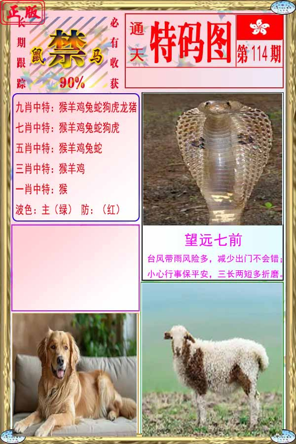 114更新中