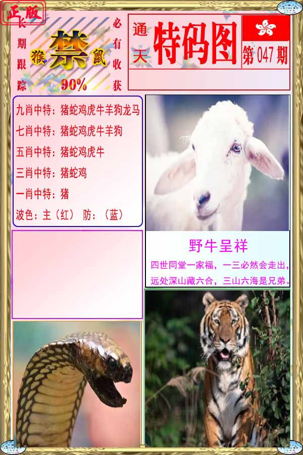 47更新中