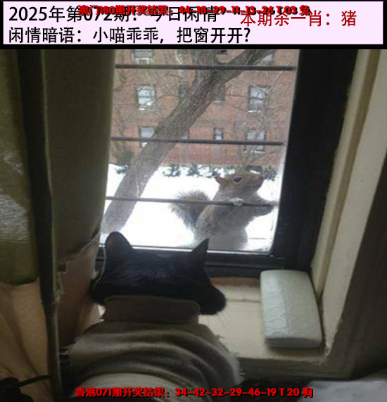 72更新中