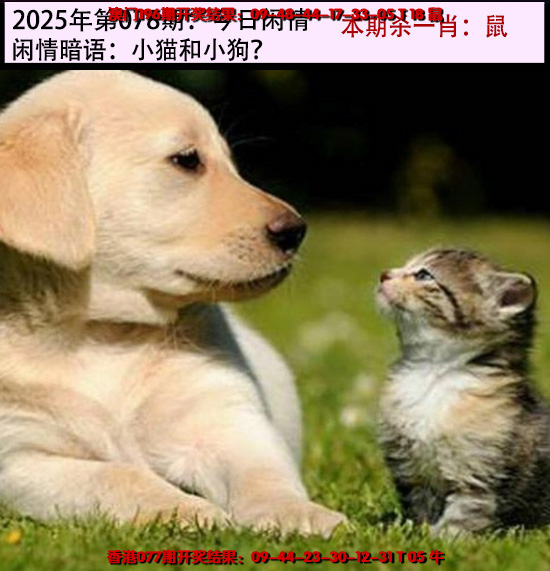 78更新中
